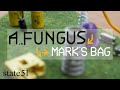 Mark's Bag by a fungus - Music from The state51 Conspiracy