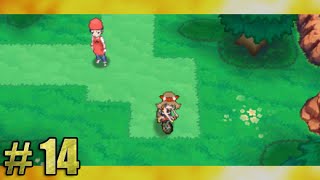 Let's Play Pokemon Omega Ruby: Episode 14 - Verdanturf Town