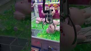 ミニクレーンゲーム　あさみみちゃん　スクイーズマスコット　ショート