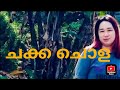 ചക്ക ചൊള | കമ്പി കഥ |kambikatha|mallu story| ladies voice|Kambikada|Malayalam kambi story