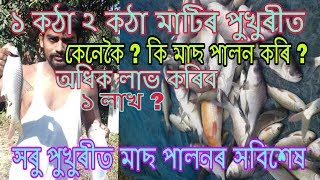 ১কঠা / ২ কঠা পুখুৰীত এনেকৈ কৰক মীন পালন ।  Best fish farming tips for small fisheries in Assam .