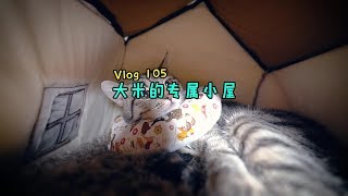 vlog|绝育拆线后肚皮上会起小鼓包，铲屎官们不用担心，我问过医生，..|