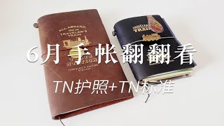 6月手帐翻翻看‖TN护照+TN标准