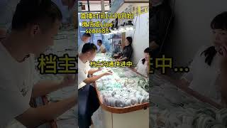 粉絲預算兩千找大圈口翡翠手鐲，起貨有被驚艷到（3）#翡翠 #翡翠手鐲 #翡翠手镯 #翡翠直播