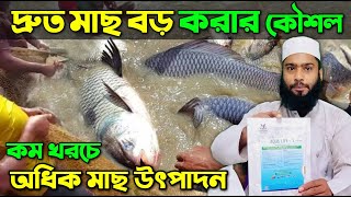 দ্রুত মাছ বড় করার কৌশল | মাছ মরা ও ভাসা বন্ধ হবে | Aqua Green super কম্ব প্যাক | কম খরচে মাছ চাষ