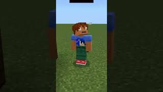 انواع الشحاتين في ماين كرافت 😂✅  #fyp   #minecraft  #first  #instagramyoutube #firstmeme #ماين_كرافت