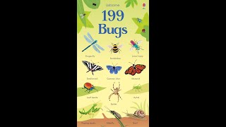 199 Bugs  Usborne