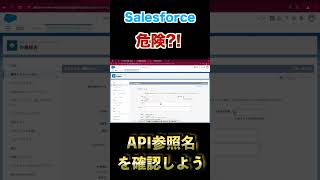 Salesforce API参照名を確認しよう！ #Salesforce #API #危険