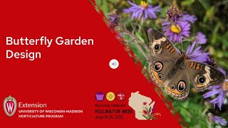 Butterfly Garden Design