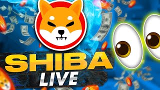 SHIB LIVE 🔥| STREAM 24/7 | APR - MAY | Shiba Inu Live Stream