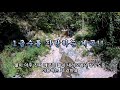 땅매매 1급수 청정계곡 first class clean valley land sale