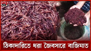 কেঁচোর কল্যাণে মাসে আসছে লাখ টাকা | Earthworm | Pirojpur News | Contracting | Organic Fertilizer