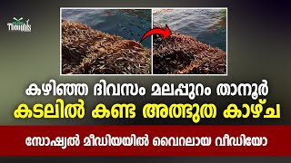 Malappuram | കഴിഞ്ഞ ദിവസം താനൂർ കടലിൽ കണ്ട അത്ഭുതപെടുത്തുന്ന കാഴ്ച | Latest Islamic speech