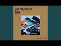 The Feeling of Love