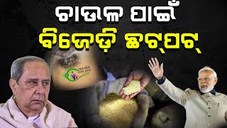 The Politics of Rice | ତାତିଲେଣି ଲୋକେ, କଲେଣି ହଙ୍ଗାମା | THE Quiver