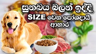 සුනඛය බලන් ඉද්දි Size වෙන පෝශ්දායි ආහාර | The dog's nutritious foods