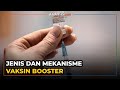 6 Jenis dan Mekanisme Pemberian Vaksin Booster yang Disetujui BPOM