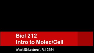 CSULB: Biol 212 Fall 2024 - Week 15 Lecture 1