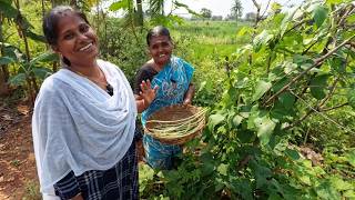 அரிசிம்பருப்பு எங்க ஊரு ஸ்பெஷல் #indiakutty