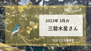 2023年3月 三碧木星さんの運気