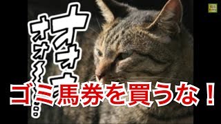 競馬1点勝負！ゴミ馬券を買うな