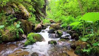 Mountain River flowing in Albania theth. Relaxing River, White Noise, Nature Sounds for Sleeping.