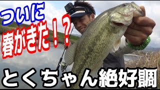 【バス釣り】春の訪れ！産卵シーズンのバスを狙え！