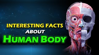 Interesting facts about Human Body in Tamil | Amazing facts | Tamil