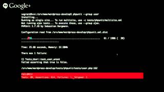 Unit Testing in WordPress