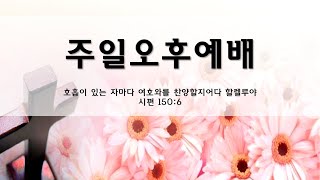 이정기 목사 - 세상 문화와 성경 문화 (신나는교회 2025. 2.16) 주일 오후 실시간 예배실황