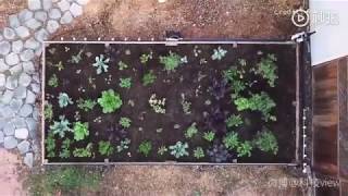 Farmbot: Robot to grow vegetables for you