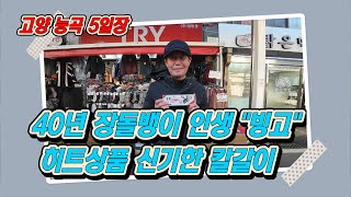 5일장 장사 40년 장돌뱅이 인생 \