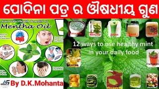 ପୋଦିନା ପତ୍ର ର ଔଷଧୀୟ ଗୁଣ ll Benefits Of Mentha/Mint/Pudina, Medicinal Value Of Pudina, Mentha spicata