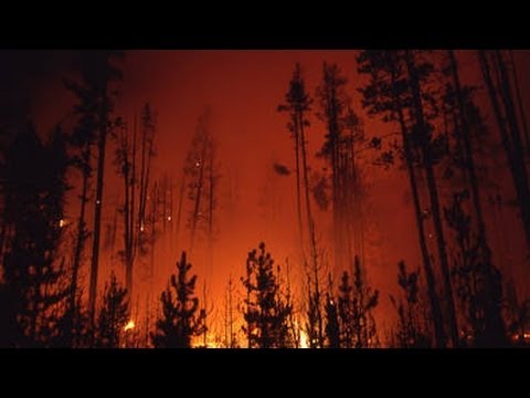 Where was the 1988 Yellowstone fire?