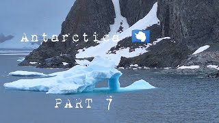 Life/æt/45 - Antarctica PART 7 - Cuverville Island and humpback whales!