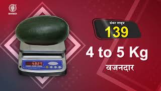 बायोसीड हाइब्रिड तरबूज़ 139 || Bioseed Hybrid Watermelon 139 || BioVeg