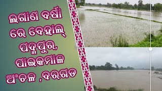 Matrubhumi Live TV,  ଲଗାଣ ବର୍ଷା ରେ ବେହାଲ୍ ପଦ୍ମପୁର, ପାଇକମାଳ ଅଂଚଳ ପାଇକମାଳ ,ପଦ୍ମପୁର ,ବରଗଡ