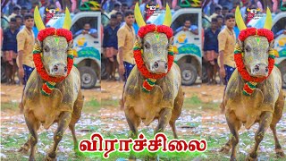 விராச்சிலை மஞ்சுவிரட்டு 2021💥💥💥||virassilai mansuvirattu||promo💥💥💥||mansuvirattu video||mansuvirattu