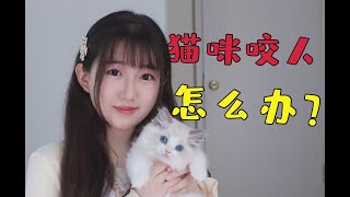 一招解决猫咪咬人的坏毛病！