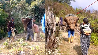 manjita \u0026 somuhang joining water pipe from jungle man's shed || shepherd life of Nepal ||