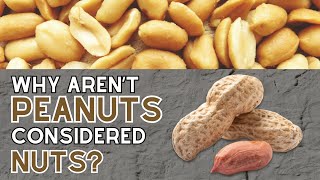Why Aren’t Peanuts Considered Nuts? The Surprising Truth About Everyone’s Favorite Snack