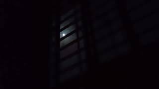 জ্যোৎস্না বিলাস | Moonlight night