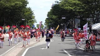 仙臺紅雀\u0026雪雀 @ 仙台すずめ踊り (大流し①) 2019-07-28T11:29