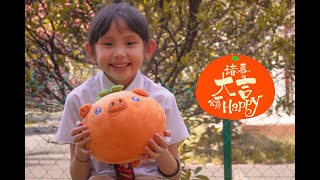 《诸事大吉颂Happy》MV (United International School Cover) [HD]