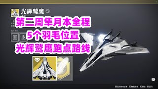 命运2，猛禽，光辉鹫鹰跑点路线destiny2