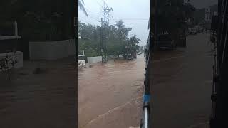 വെള്ളപൊക്കം,പാലാ തൊടുപുഴ road🌧️#floodkerala #rain,#mansoon