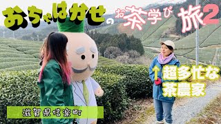 お茶学び旅2【滋賀県-朝宮茶】農業女子のもとへ