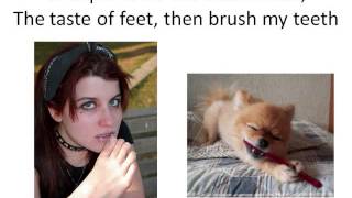 Misheard Lyrics Mash Up Round 4