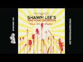 shawn lee s ping pong orchestra bongo fury