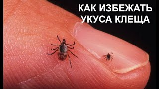 Как обезопасить себя от укуса клеща.